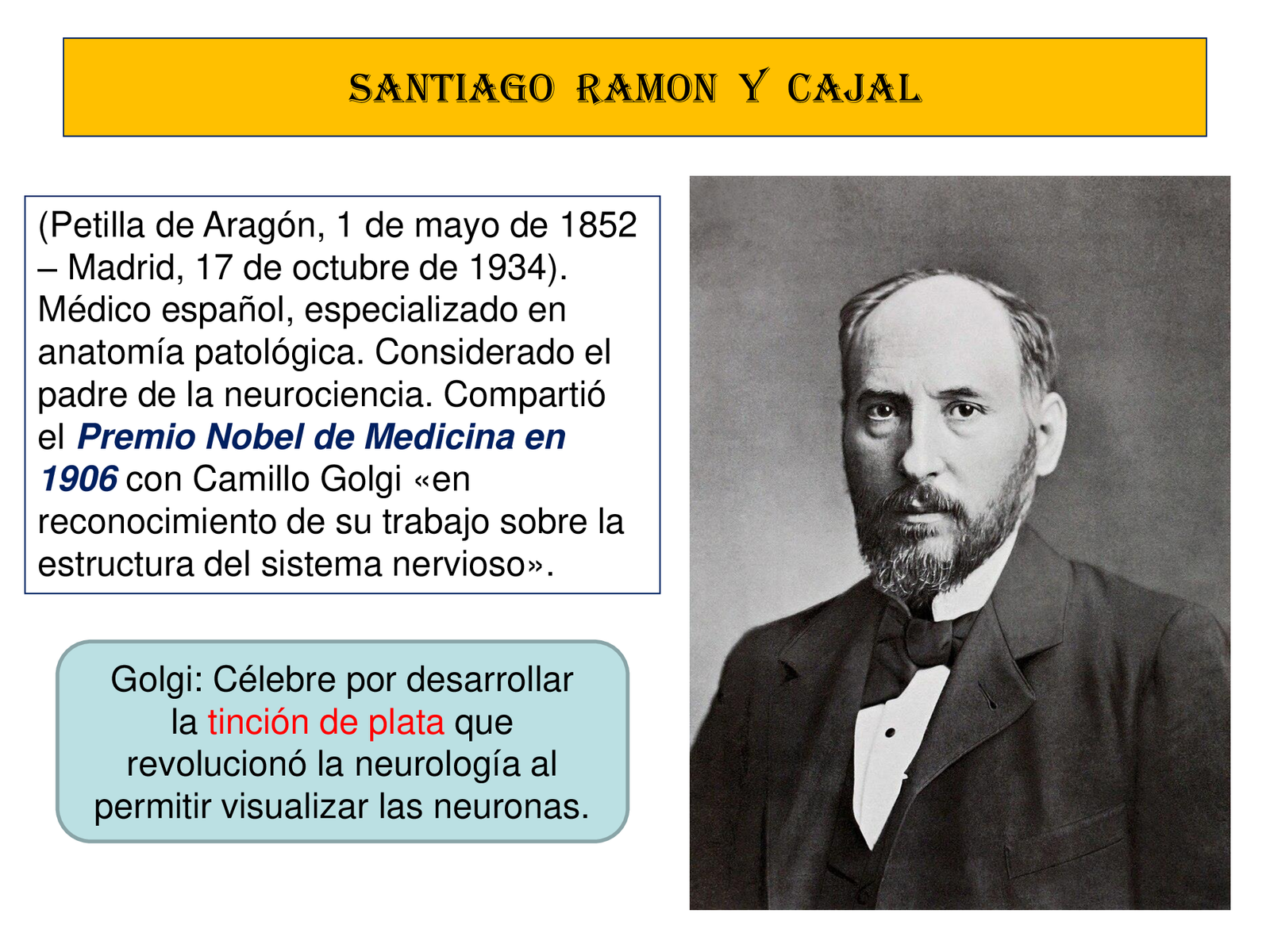 Alois Alzheimer - bc7d619fc243701d46066ccc3381e0e3-1