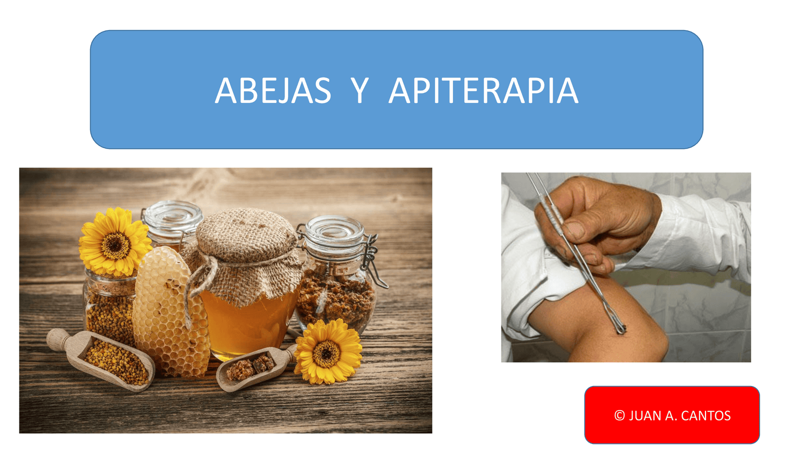 Apiterapia - APITERAPIA_00001.png