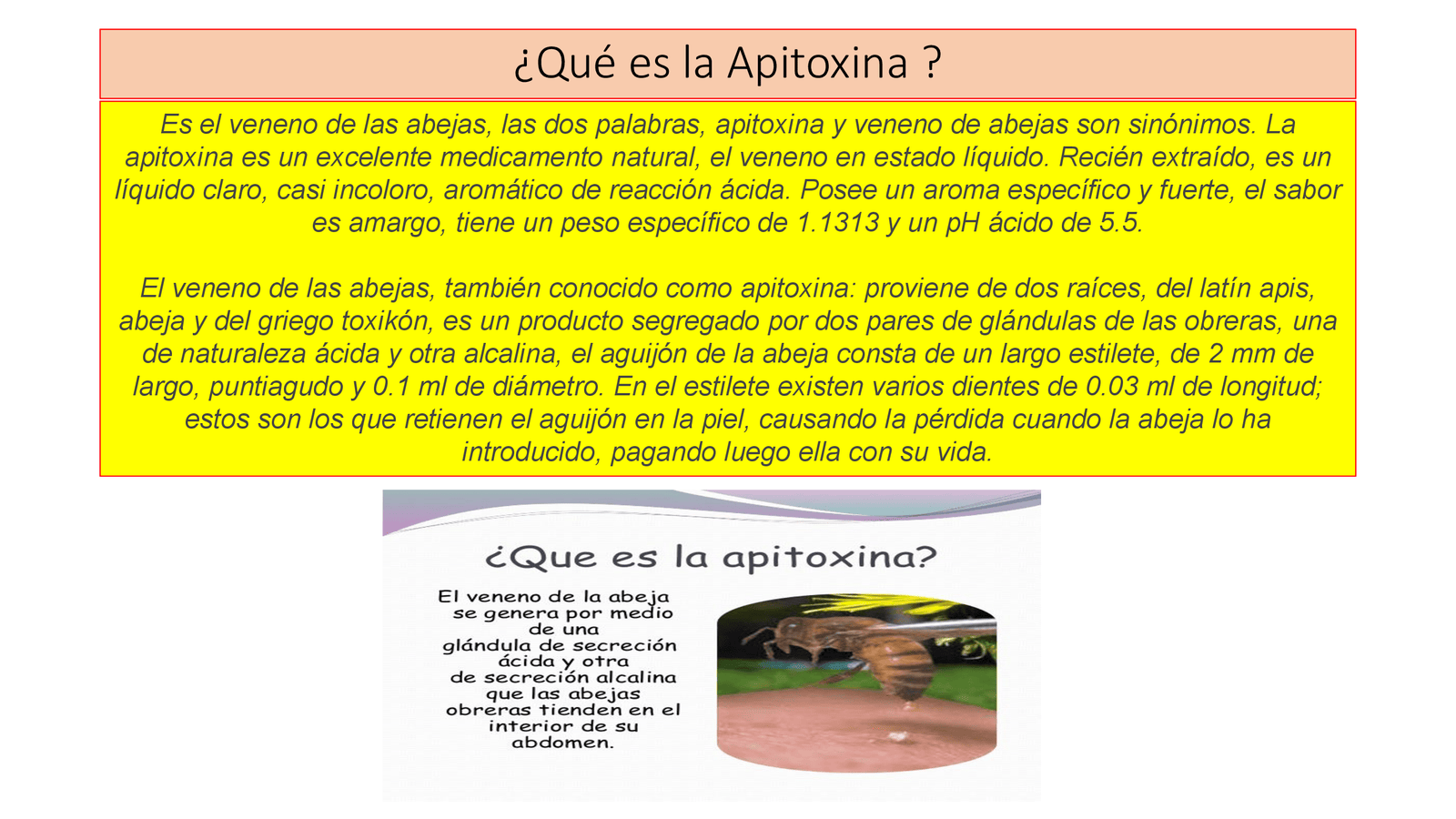 Apiterapia - APITERAPIA_00003.png