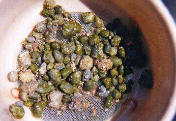 Imagen de parásito 2